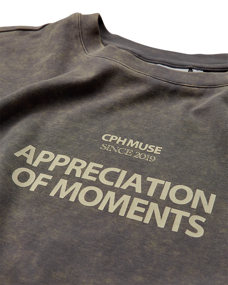 Copenhagen Muse - T-SHIRT MED PRINT I BRUN OG BEIGE - Billede 2